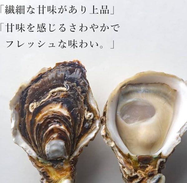 兵庫產 活 赤穗蠔 (隻) 約60-70G - Image 2